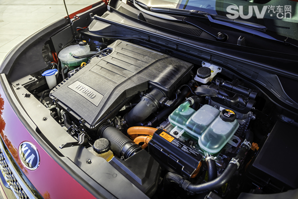 1461548783188688.jpg 13.jpg